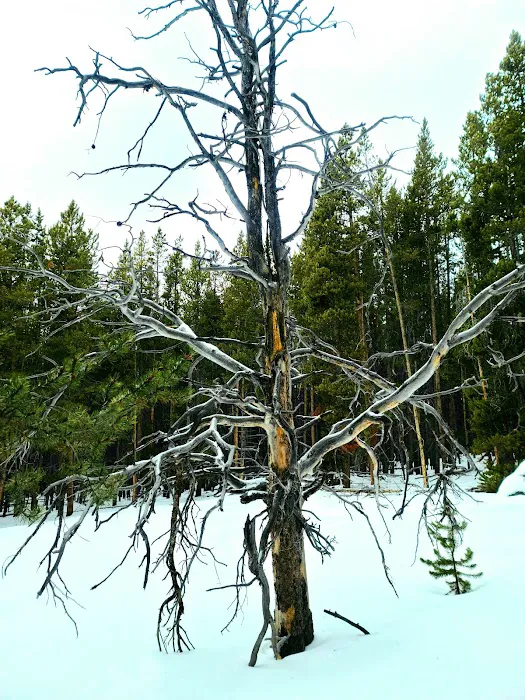 Willow Park Group Campground Picture 4