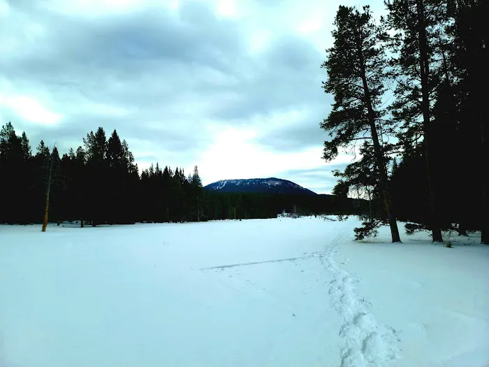 Willow Park Group Campground Picture 5