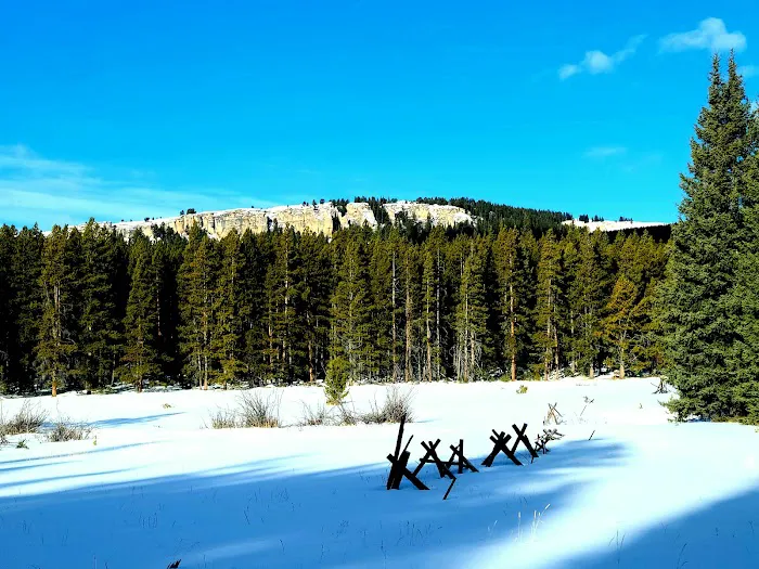 Willow Park Group Campground Picture 9