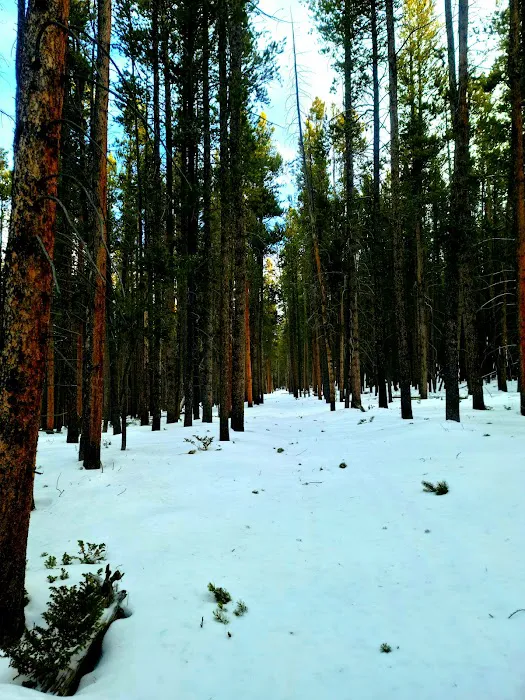 Willow Park Group Campground Picture 7