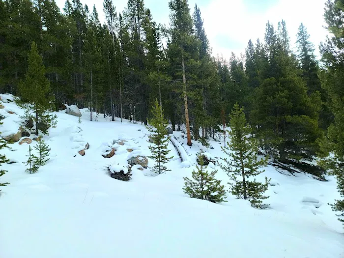 Willow Park Group Campground Picture 3