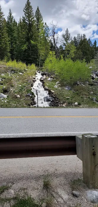 Willow Park Group Campground Picture 2