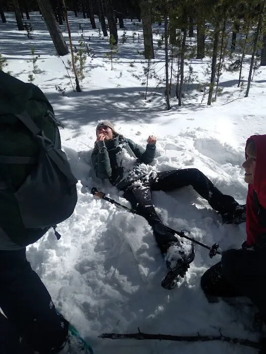 Willow Park Group Campground Picture 6