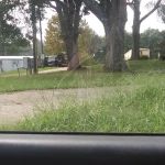 The Oaks Mobile Home Community