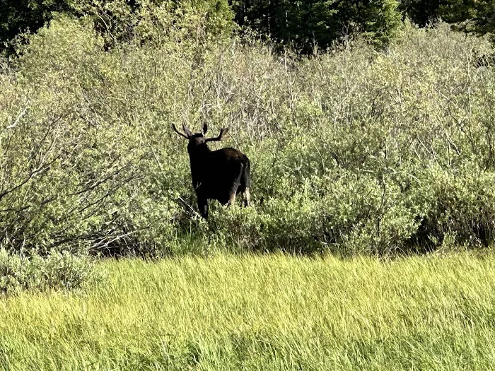 Lake View Campground Picture 1