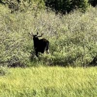 Lake View Campground ico