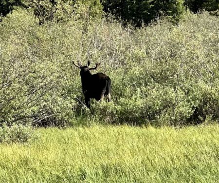 Lake View Campground