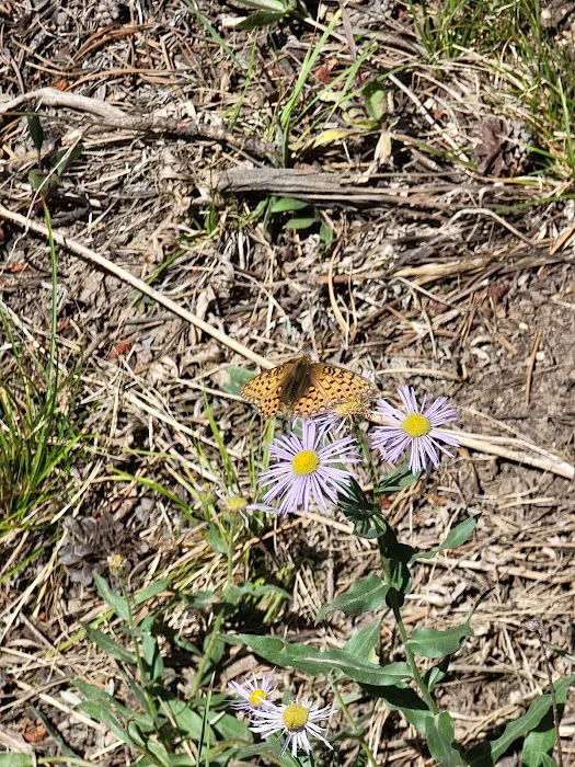 Boulder Park Campground Picture 4