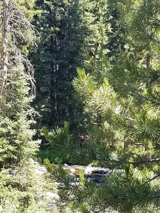 Boulder Park Campground Picture 10