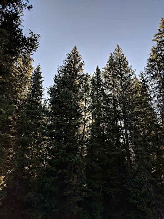 Boulder Park Campground Picture 5