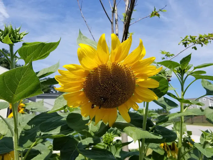 Fayette Mobile Home Park Picture 1