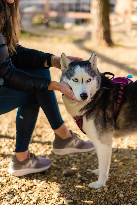 Buffalo KOA Journey Picture 2