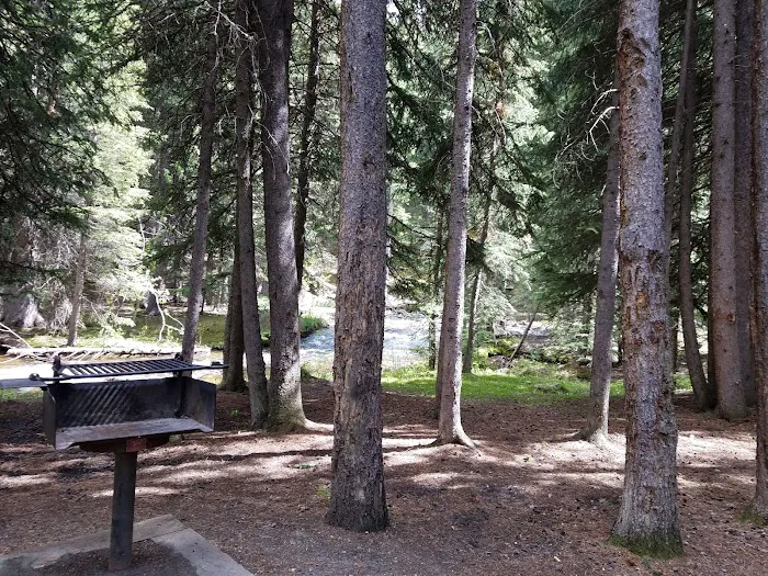 Middle Fork Campground Picture 3