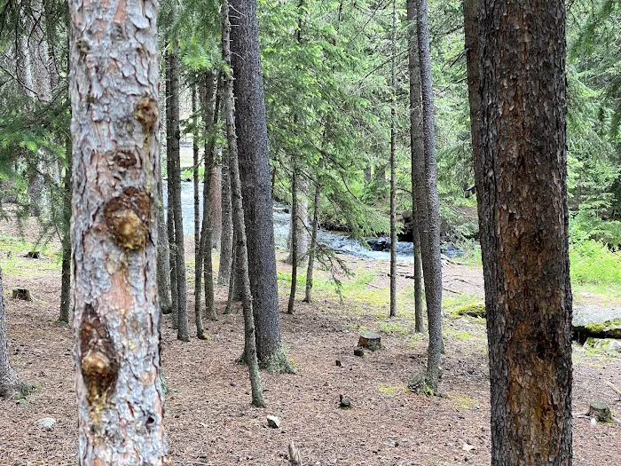 Middle Fork Campground Picture 6