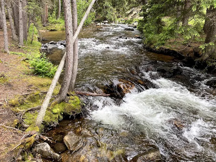 Middle Fork Campground Picture 7
