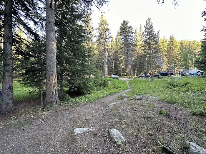 Middle Fork Campground Picture 4