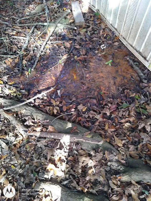 Pine Glen Park Picture 5