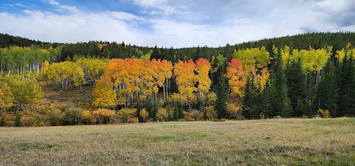 Hettinger Group Campground Picture 4