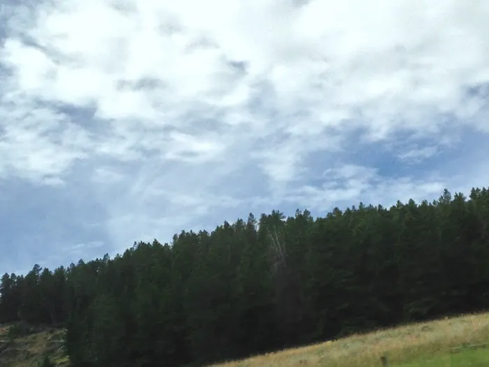 Hettinger Group Campground Picture 8