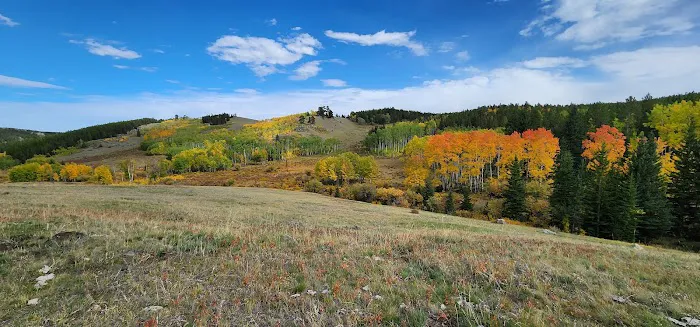 Hettinger Group Campground Picture 7
