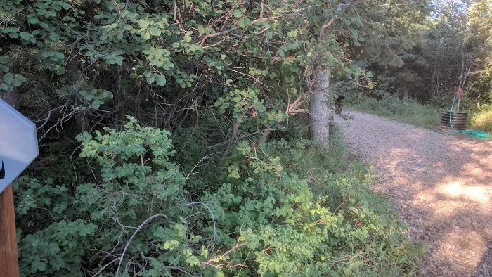 Millcreek Pines Recreation Camp Picture 10