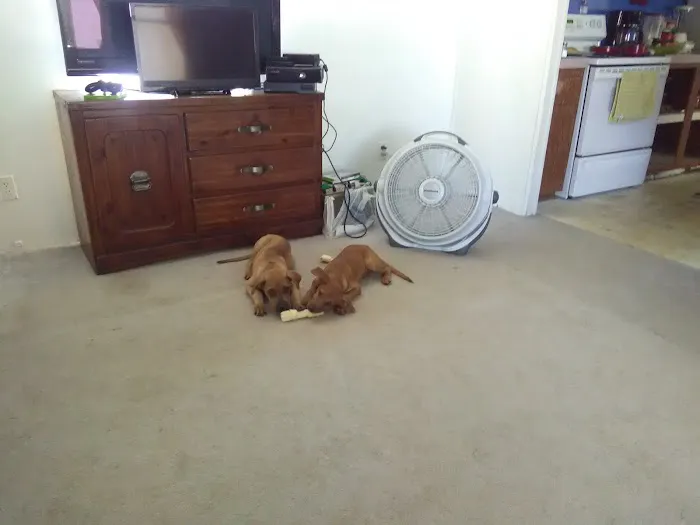 Timber Creek Mobile Home Park Picture 2