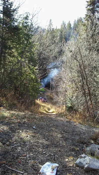 Camp Aerie Picture 8