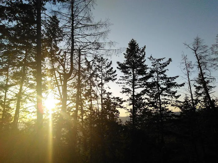 Camp Aerie Picture 2