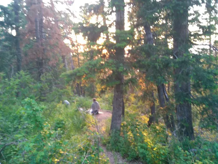 Camp Aerie Picture 5