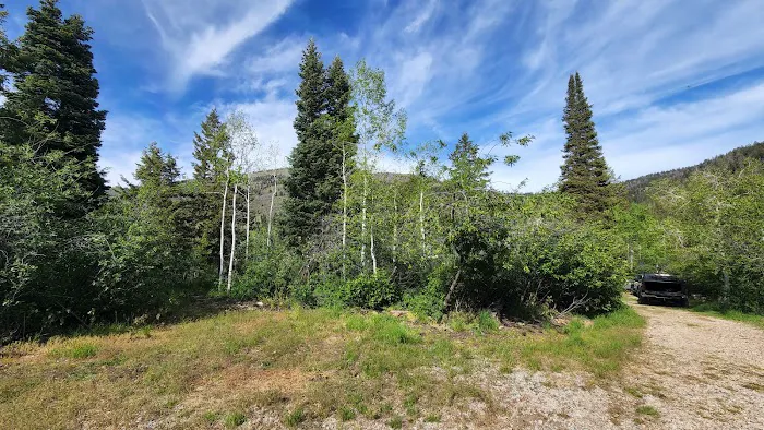 Camp Aerie Picture 4