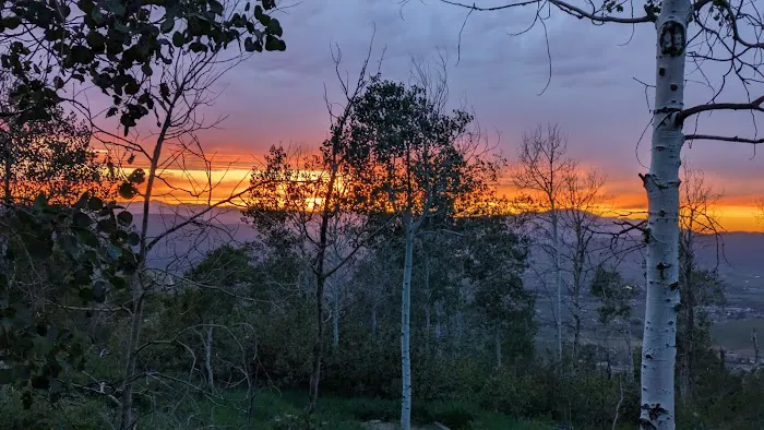 Aspen Meadows Recreation Camp Picture 8