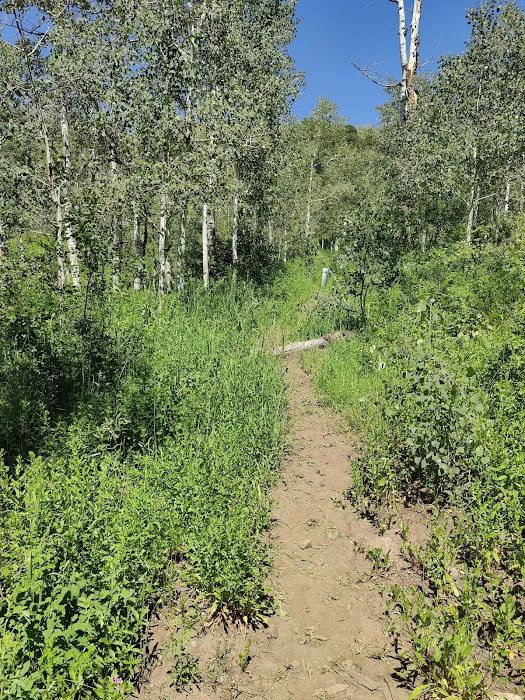 Aspen Meadows Recreation Camp Picture 3