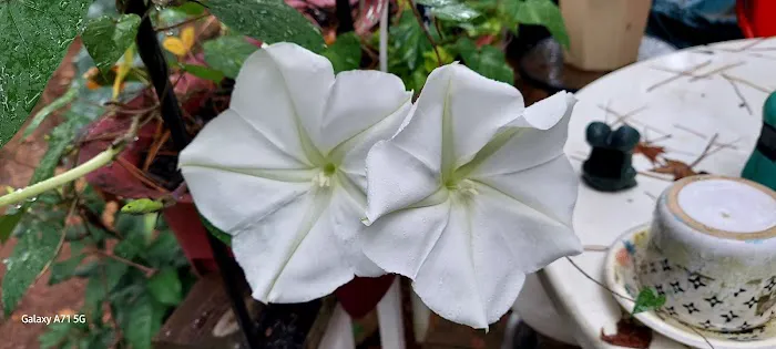 Shiloh Mobile Home Ranch Picture 8