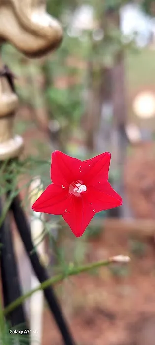 Shiloh Mobile Home Ranch Picture 5