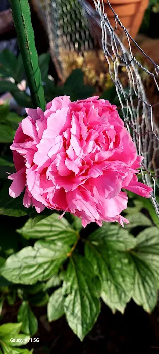 Shiloh Mobile Home Ranch Picture 7