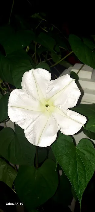 Shiloh Mobile Home Ranch Picture 2