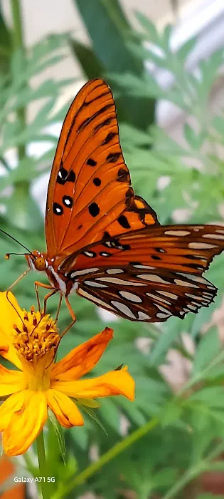 Shiloh Mobile Home Ranch Picture 1