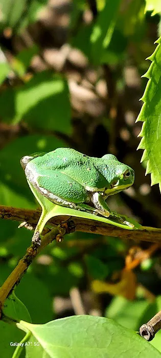 Shiloh Mobile Home Ranch Picture 3