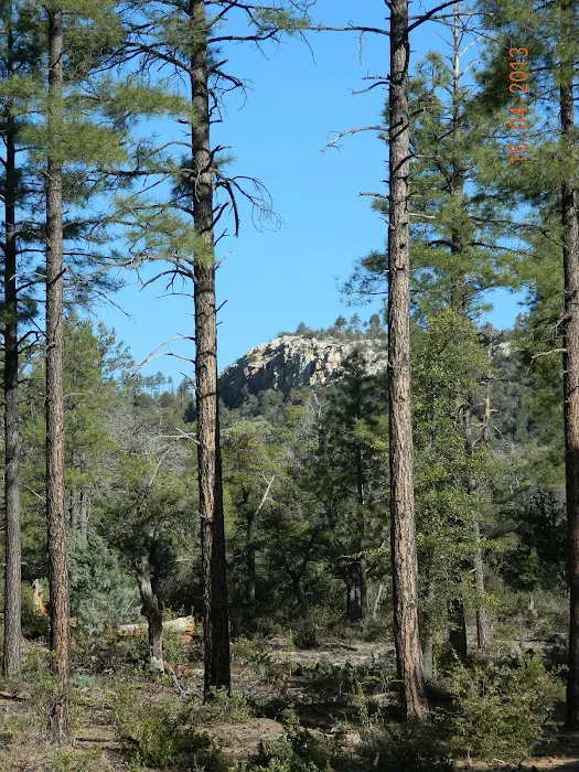 Ponderosa Group Campground Picture 10