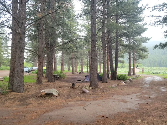 Ponderosa Group Campground Picture 9