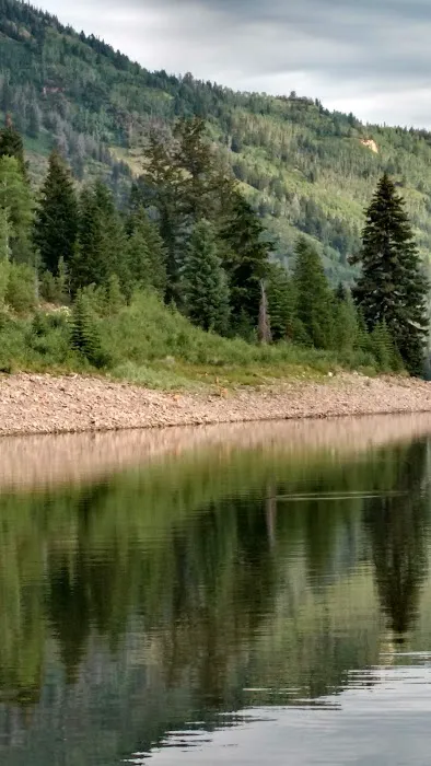 Ponderosa Group Campground Picture 1