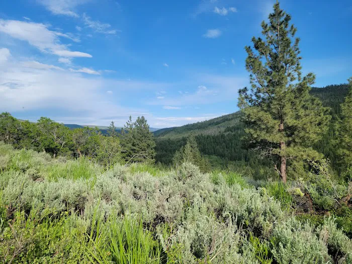 Ponderosa Group Campground Picture 4