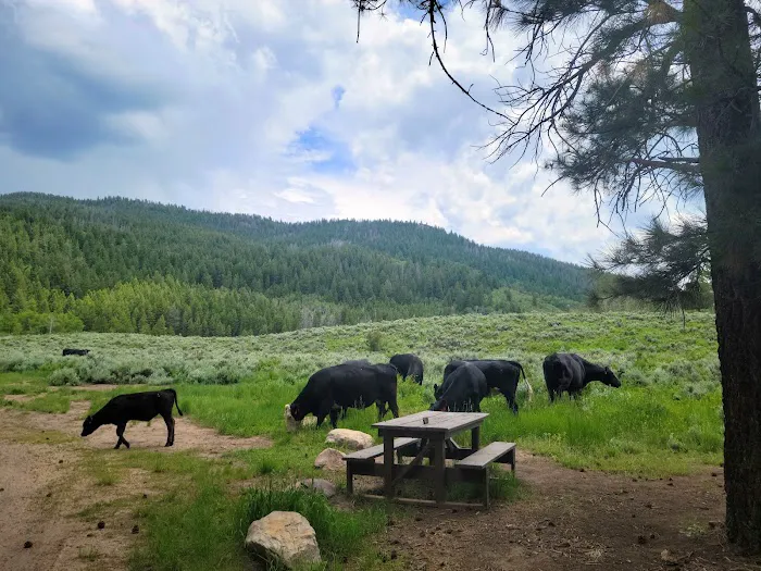 Ponderosa Group Campground Picture 8