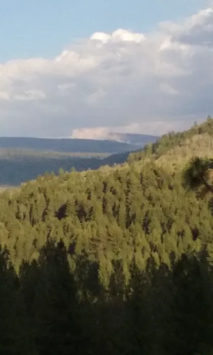 Ponderosa Group Campground Picture 6