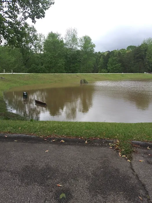 Pine Lake Community Picture 1