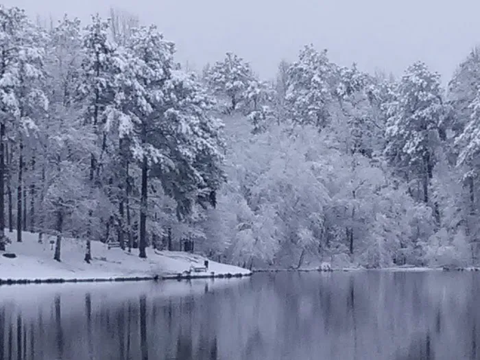 Pine Lake Community Picture 6