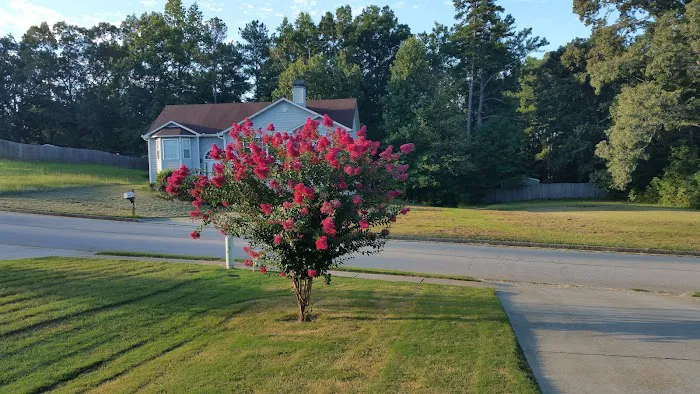 Pine Lake Community Picture 7