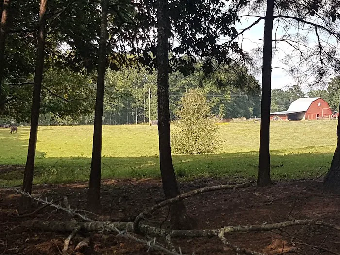 Pine Lake Community Picture 9