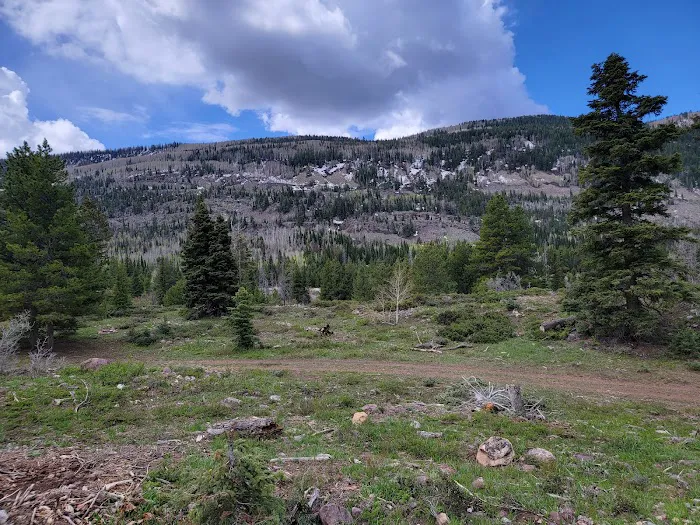 Yellow Pine Campground Picture 6