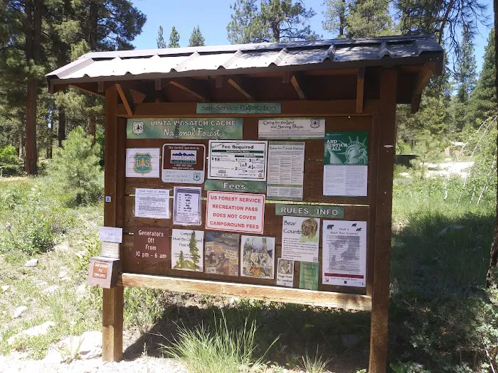 Yellow Pine Campground Picture 2